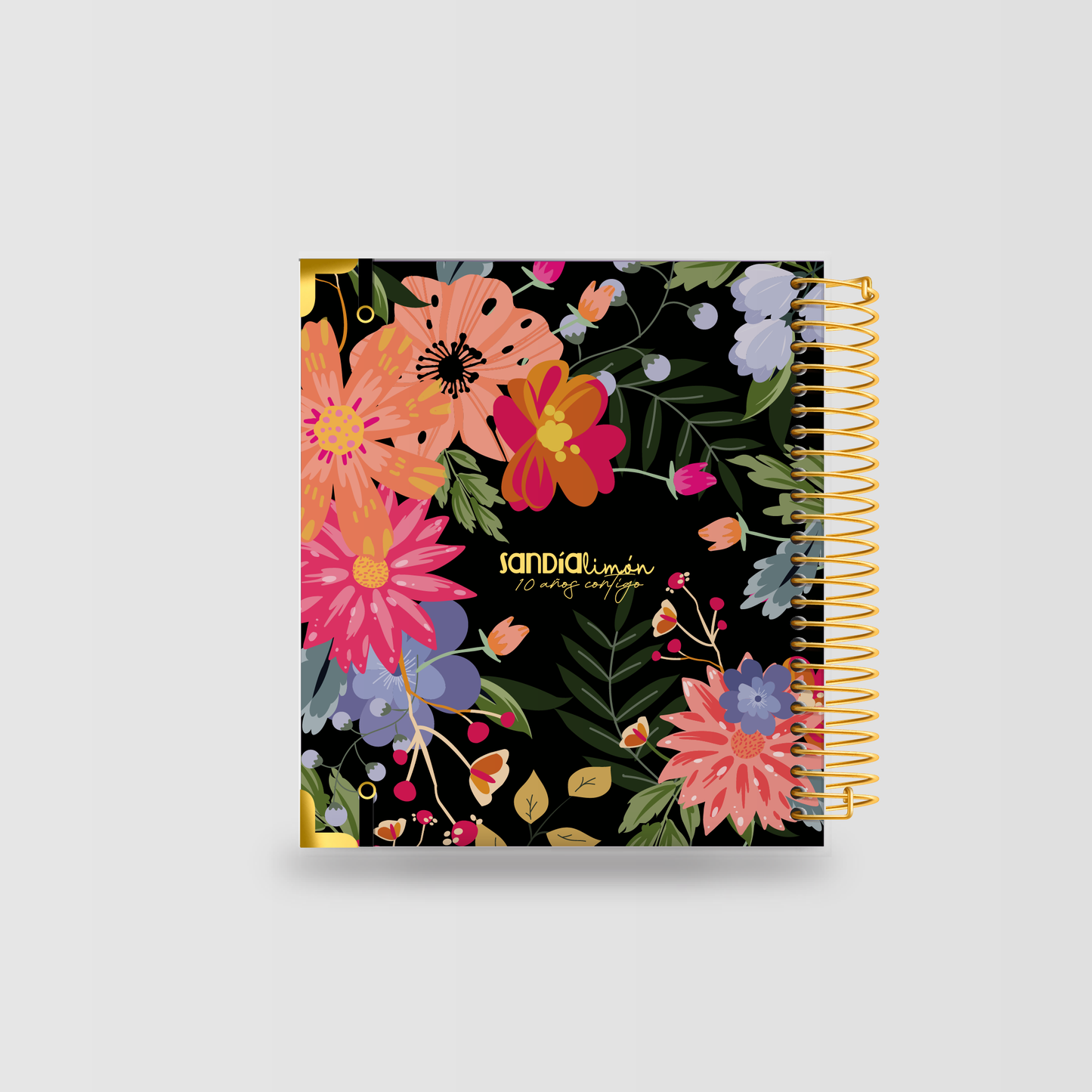 Planner Fe