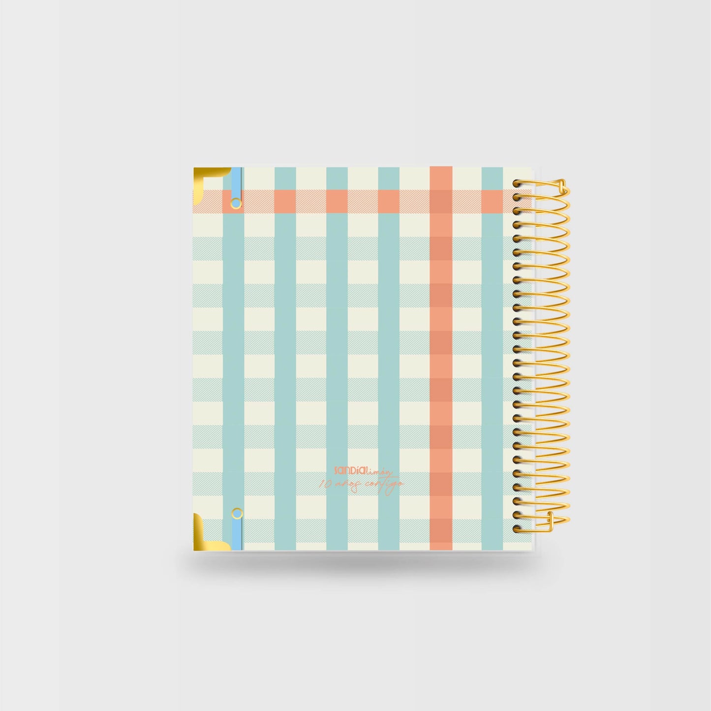 Planner Mis Planes