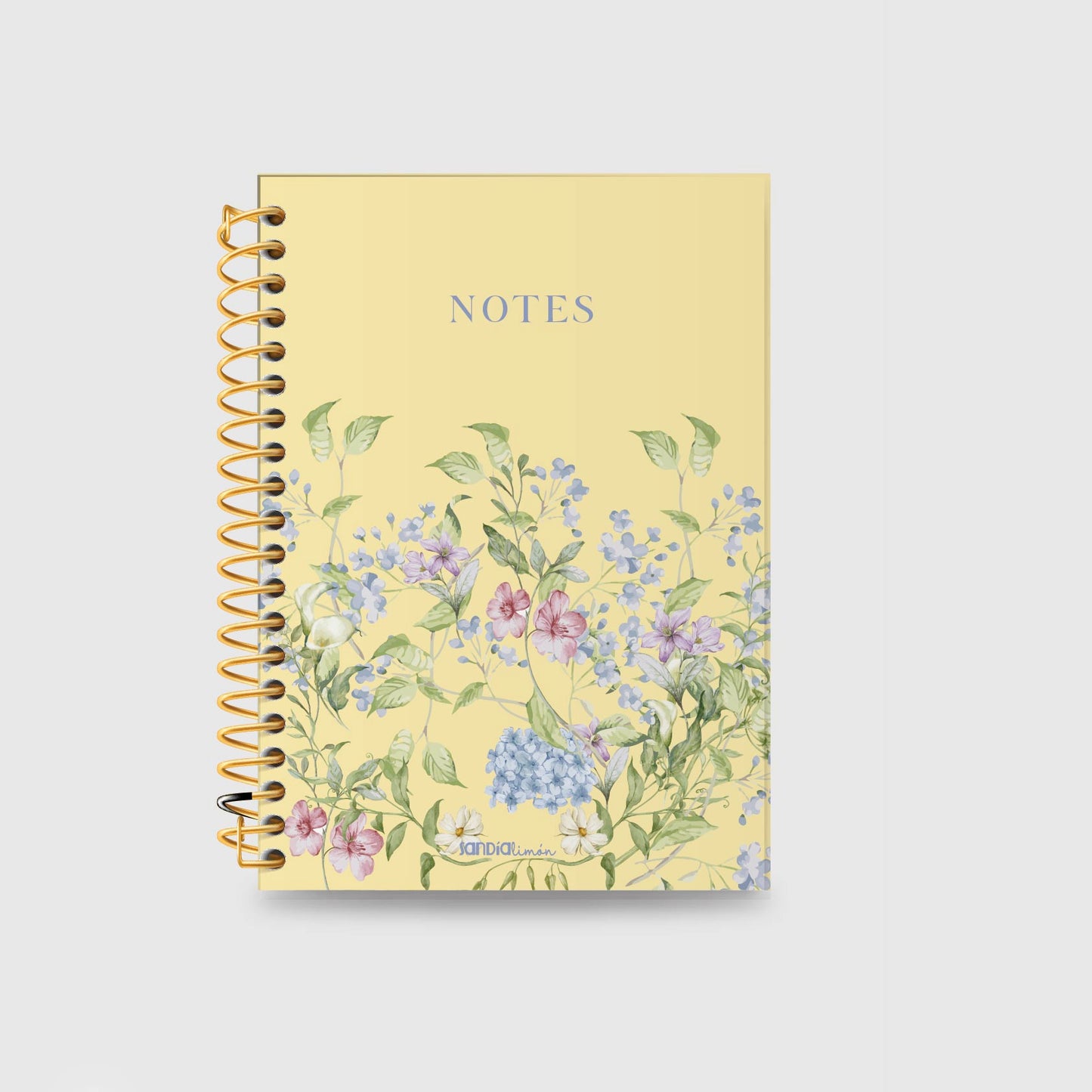 Notebook La Lupita