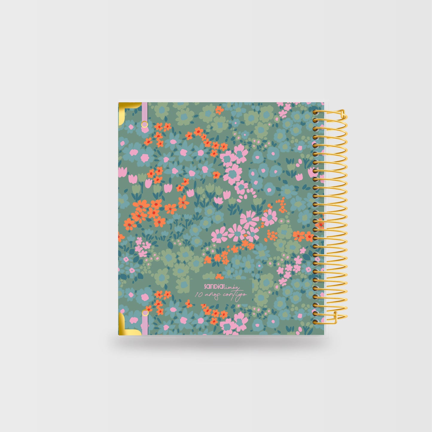 Planner La Lupita