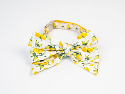 Collar FC Limones