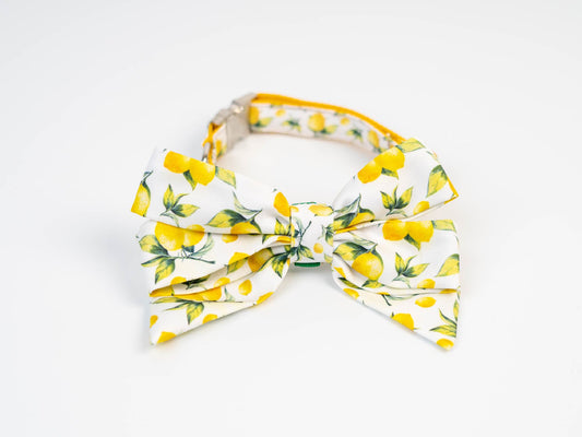 Collar FC Limones
