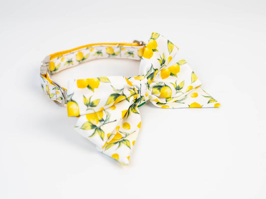 Collar FC Limones