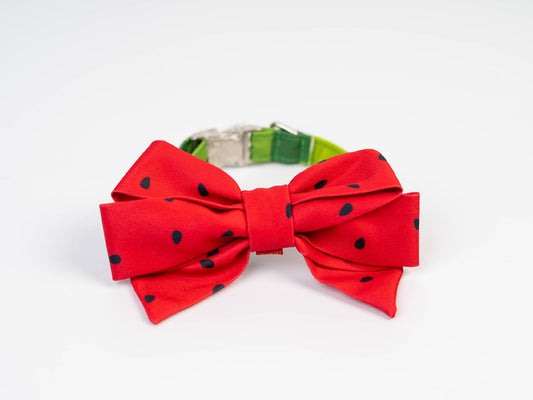 Collar FC Sandía