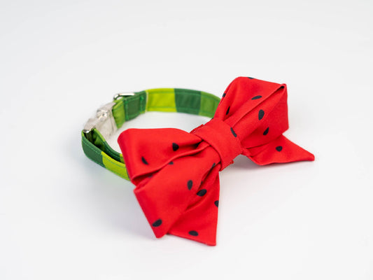 Collar FC Sandía
