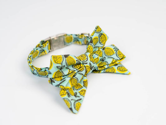 Collar FC Limones fondo Azul