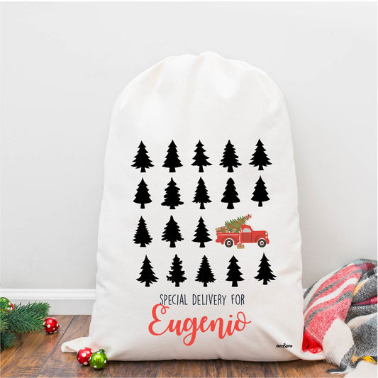 Santa´s Bag